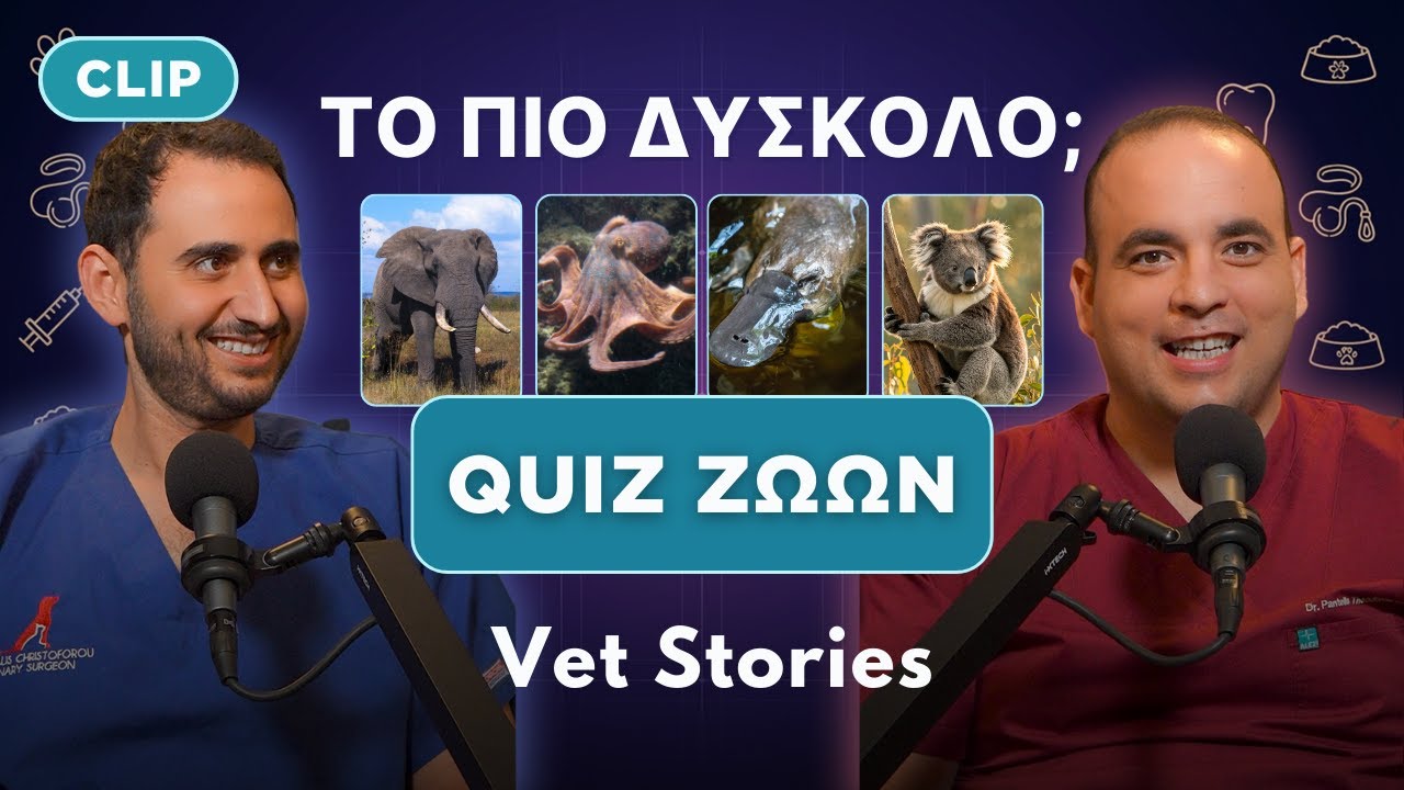 10 Fun Facts Που Δεν Θα Πιστέψεις | #VetStories Clips
