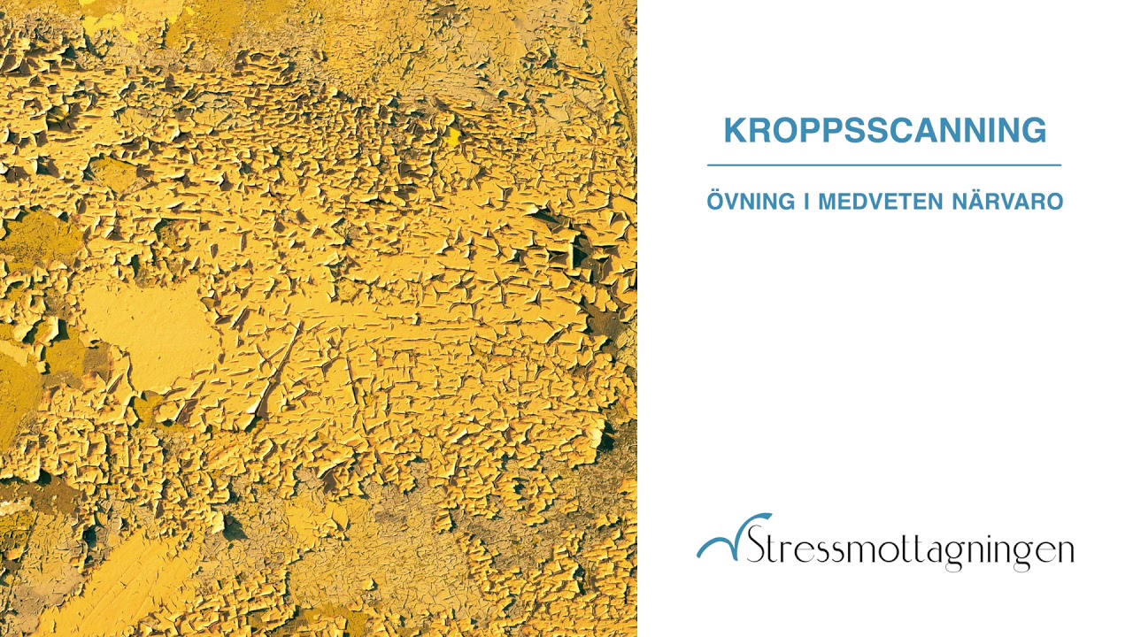 Kroppsscanning &ndash; &ouml;vning i medveten n&auml;rvaro