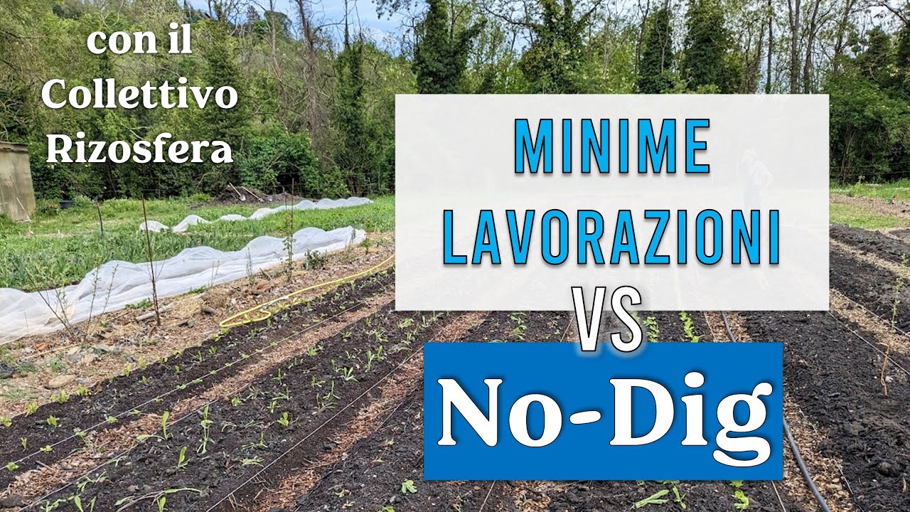 Minima lavorazione o No-Till? Discussione con il collettivo @Collettivo RizoSfera
