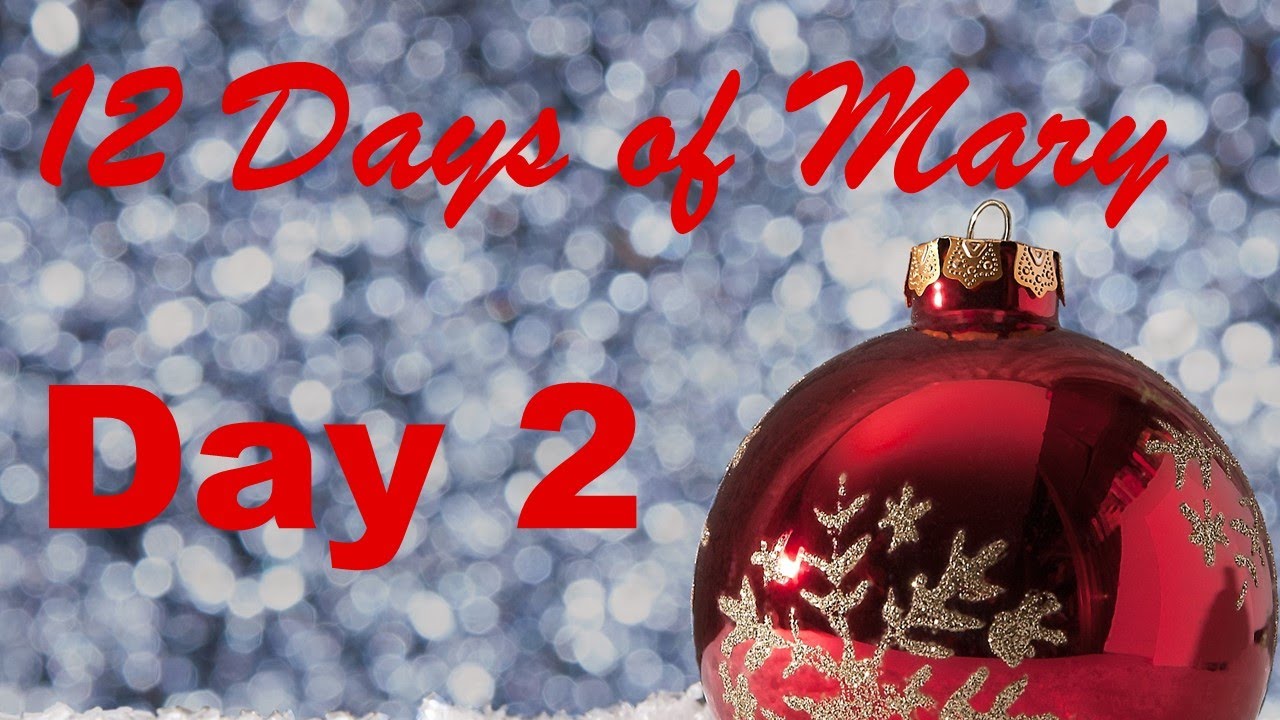 Day 2 -- Nanami Paper -- 12 Days of Mary