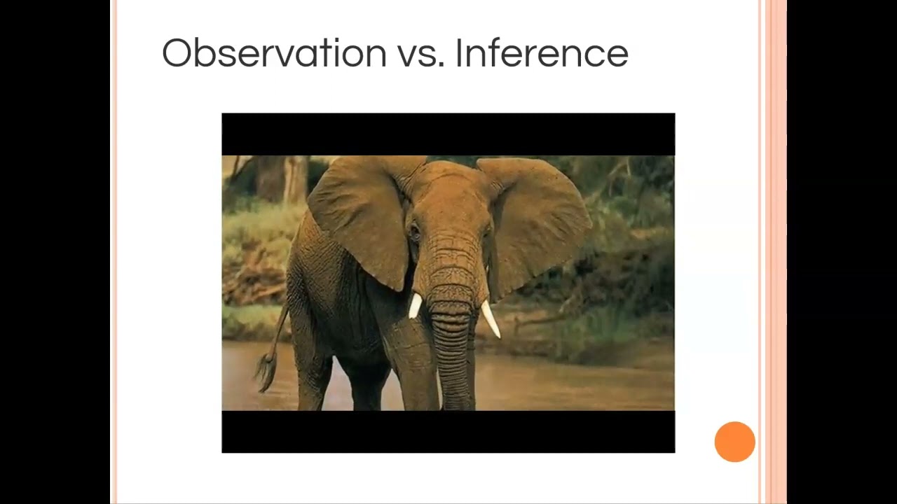 Scientific Method - Observations