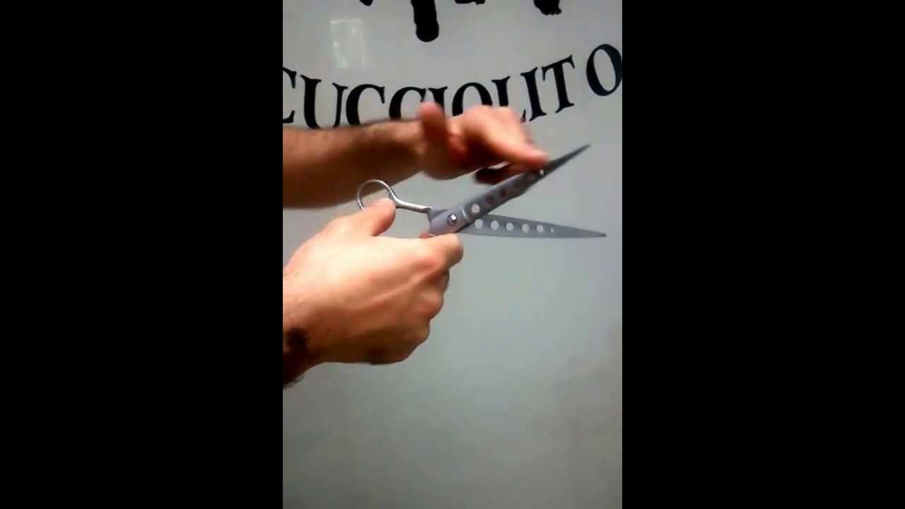 toelettatura Forbici come mantenerle