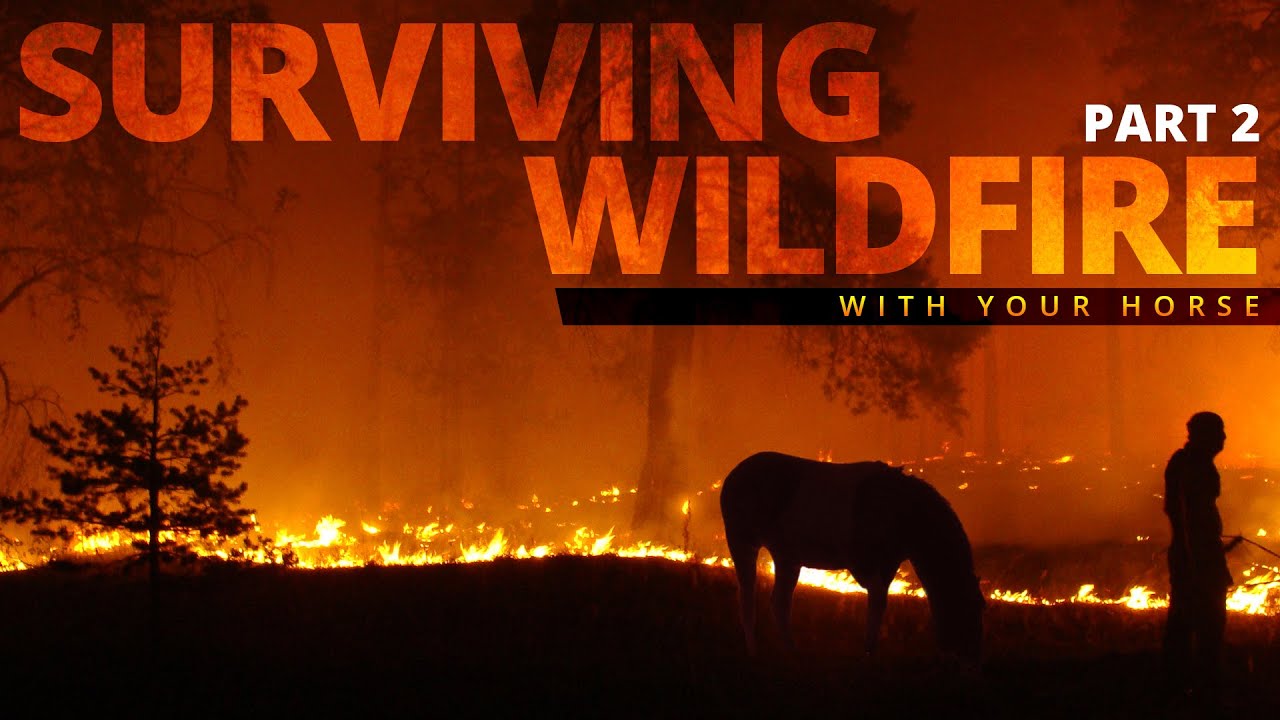 Surviving Wildfire with your horse - Part 2