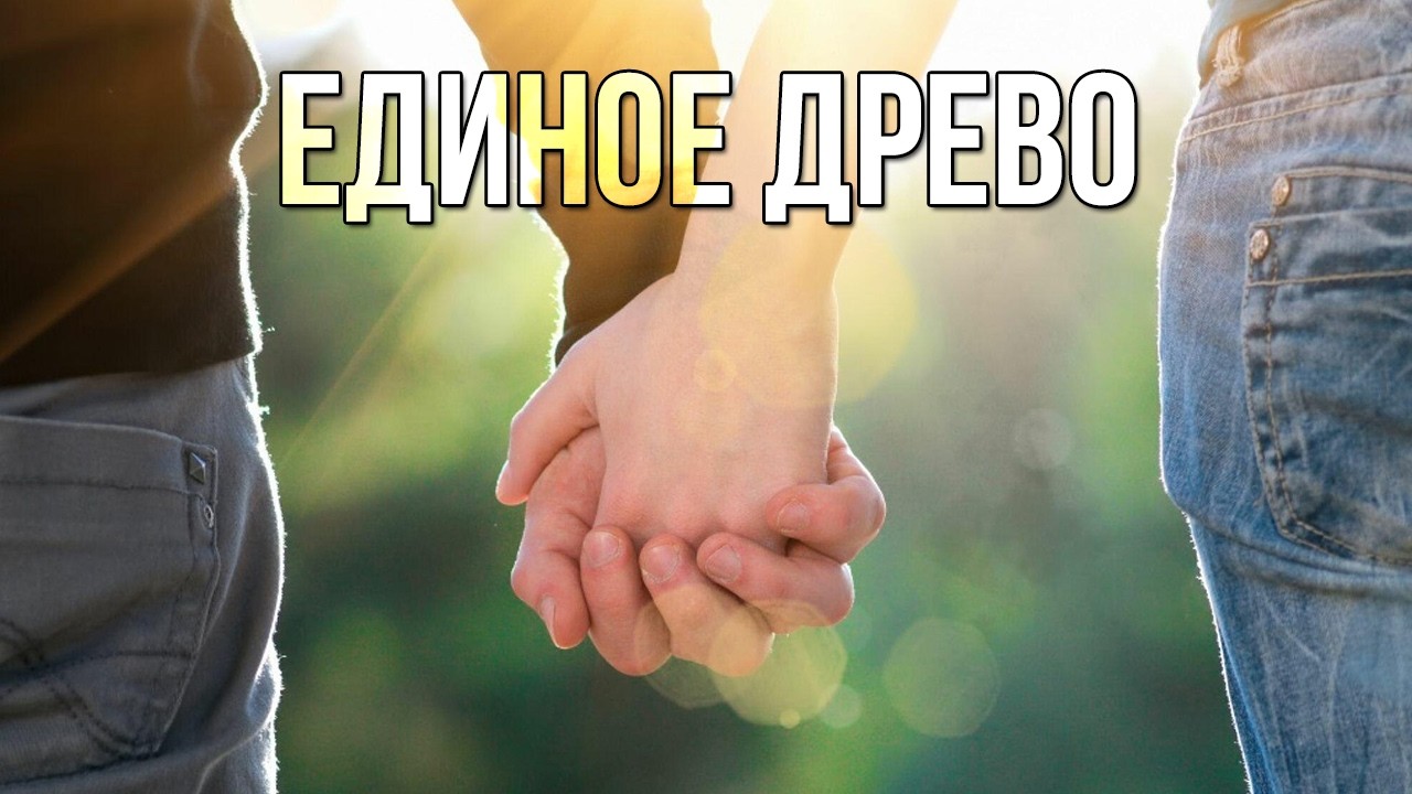 Единое древо. «Вечерний Ейск» от 2026.03.06