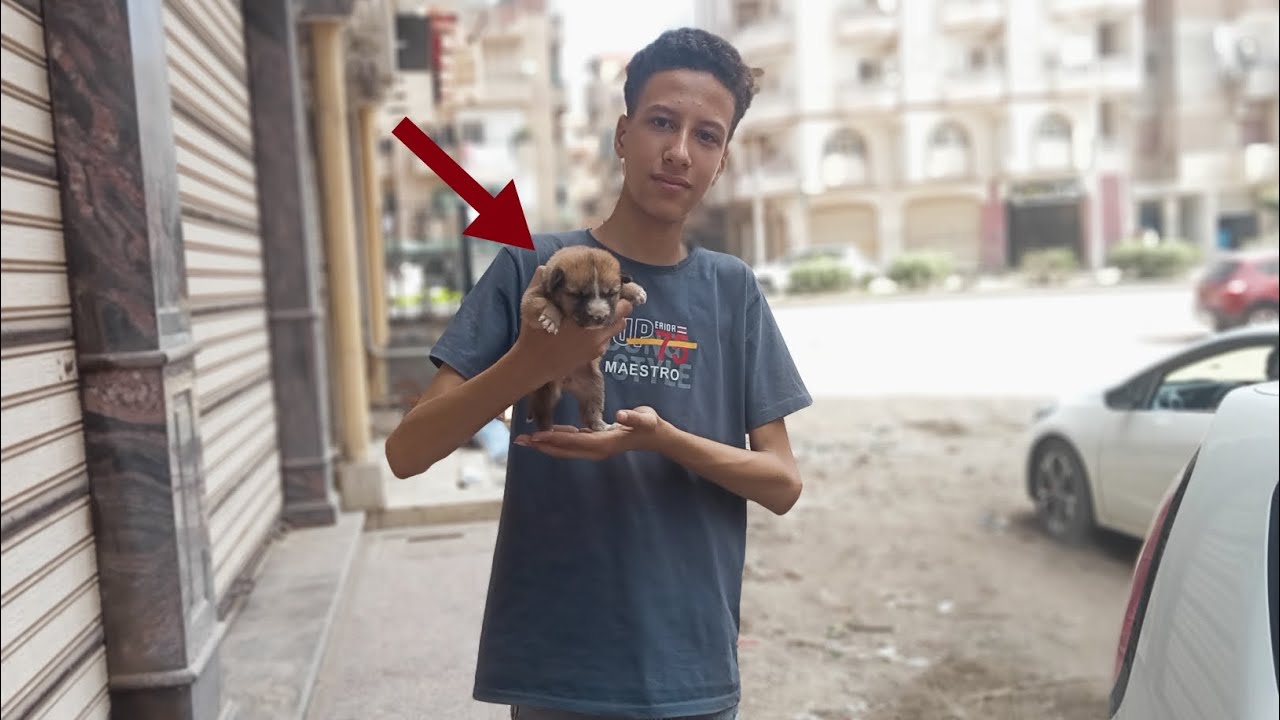 لقيت جرو عمر اسبوع في الشارع 😱