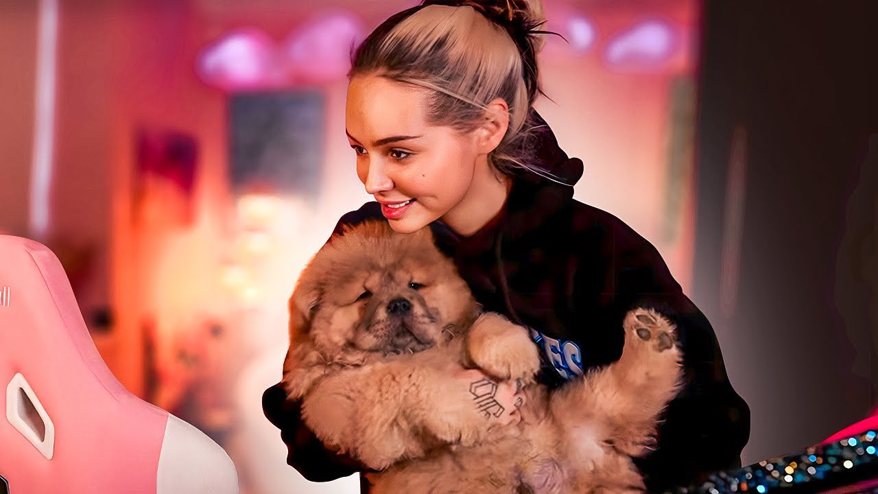 OUR PUPPY JOINS MY STREAM
