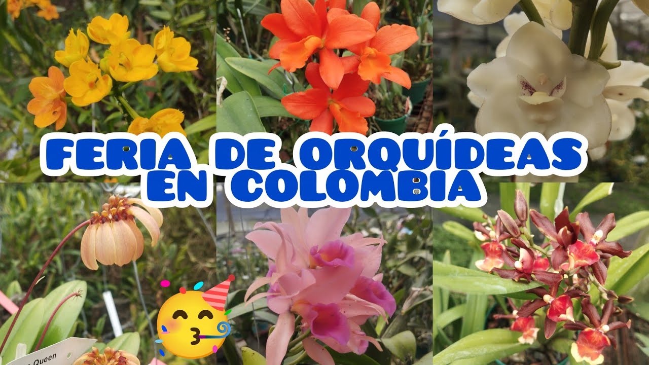 FERIA DE ORQUÍDEAS DEL VIVERO ORQUIVALLE 2026 §LIZZ Y SU VIVERO 