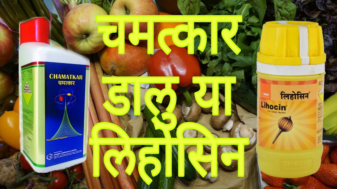 Gharda chamatkar tonic full information/tonic