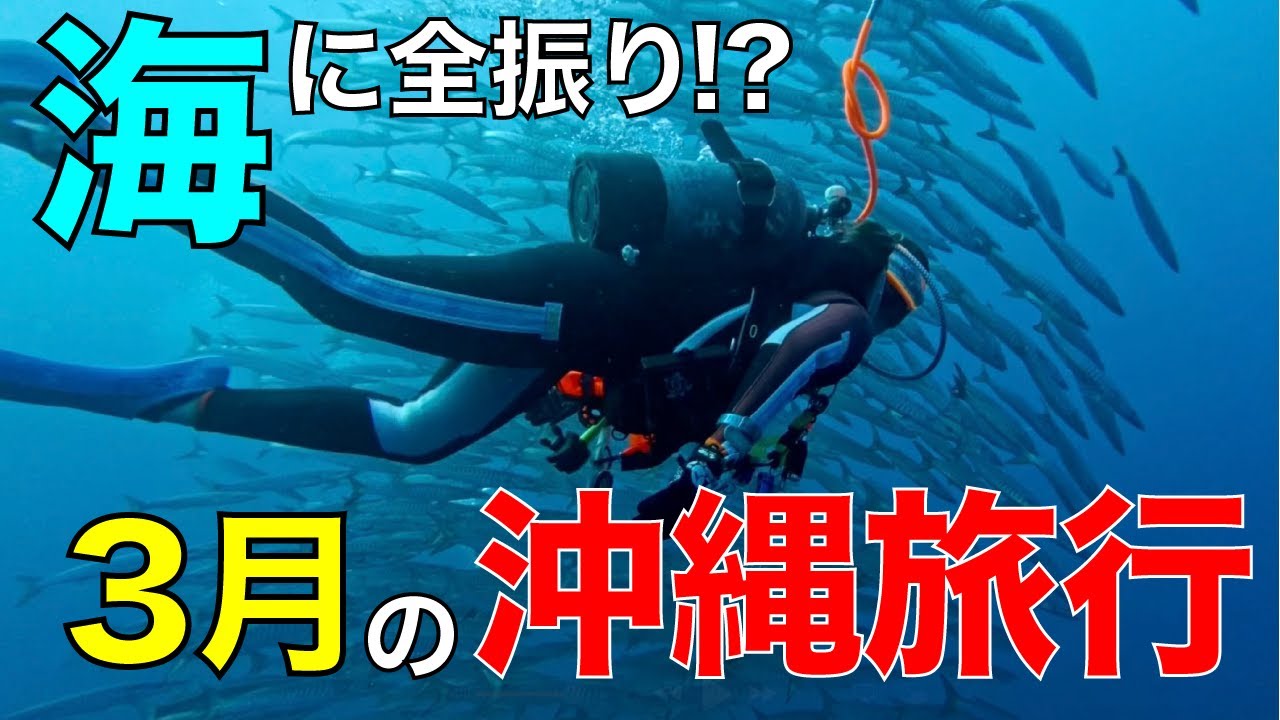 【春休み】3月の沖縄旅行は海に全振りしたが…⁉︎ vol.1
