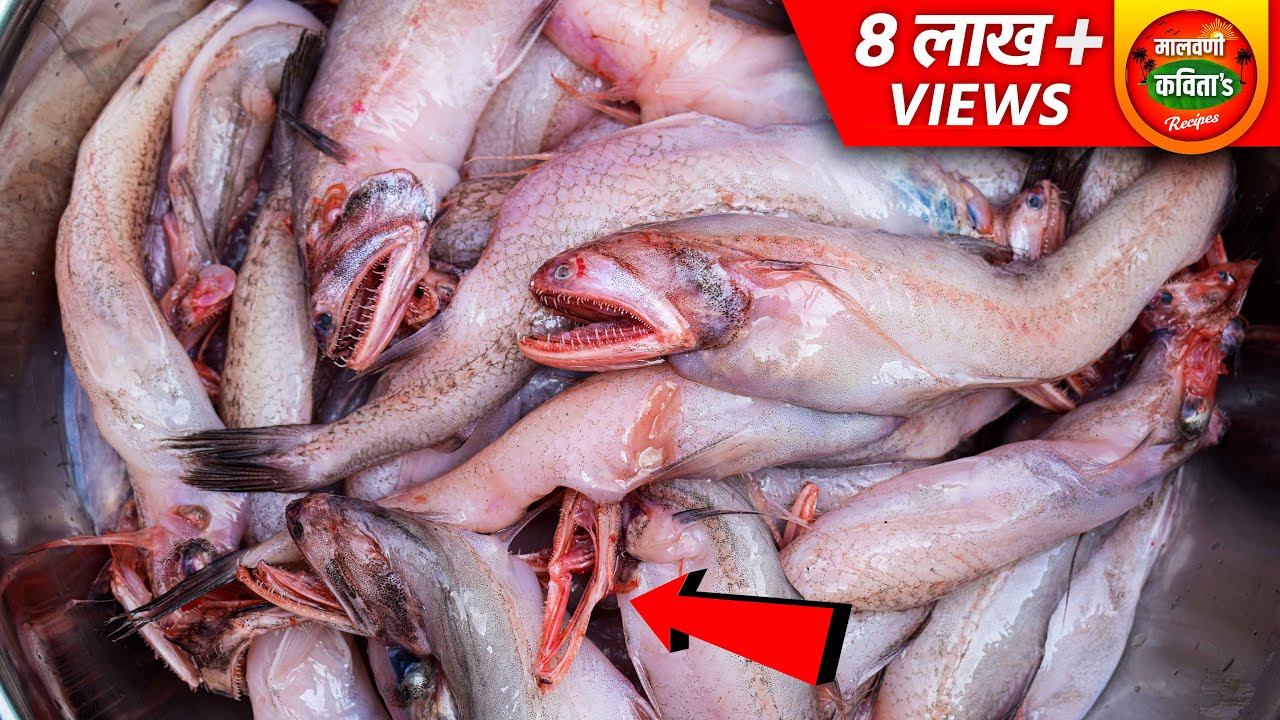 कोणतेही वजन न ठेवता बोंबला मधील पानी काढण्यासाठी ही नविन पद्धत वापरा | Crispy Bombil Fry