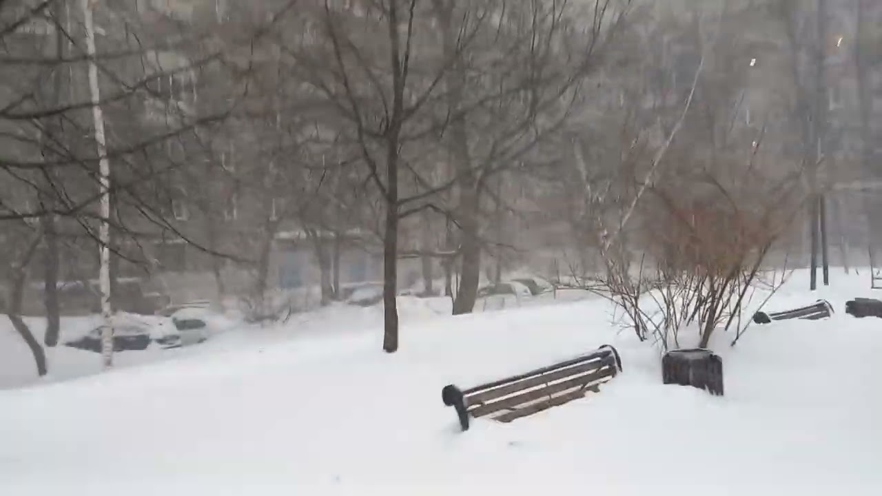 Метель 19 февраля 2026 года🌨🌨🌨
