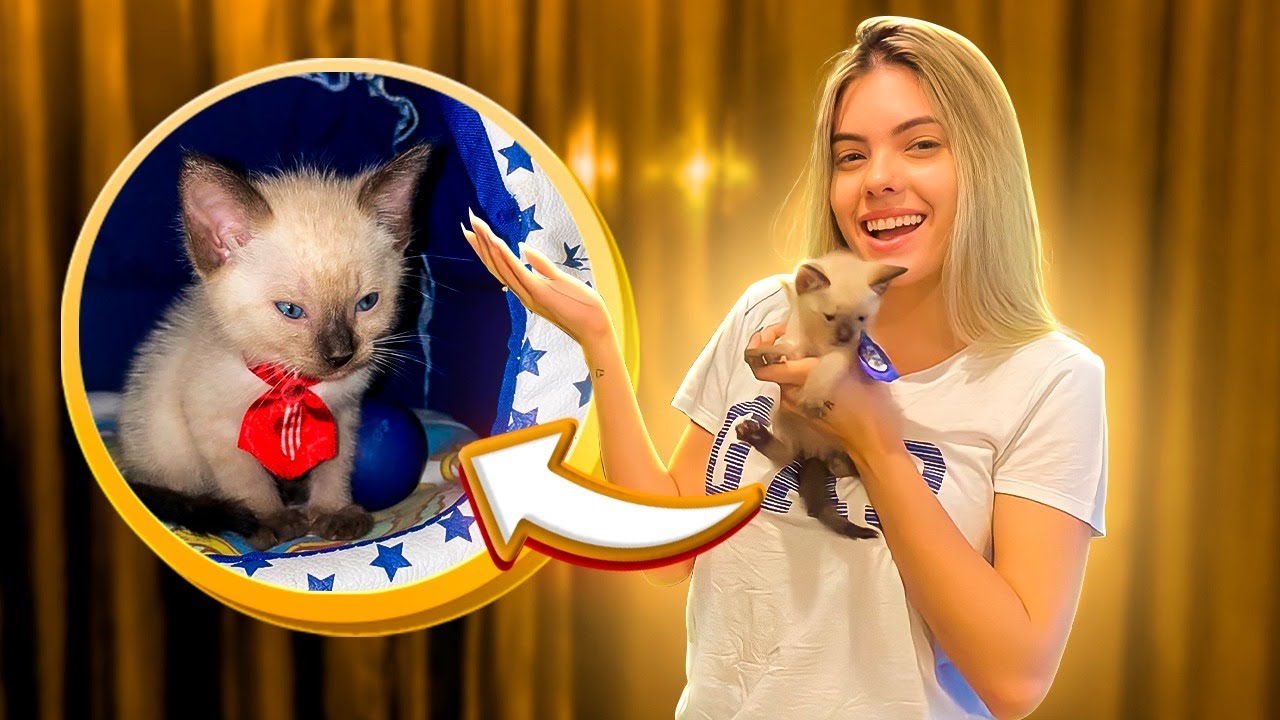 ADOTEI UM GATINHO!!!