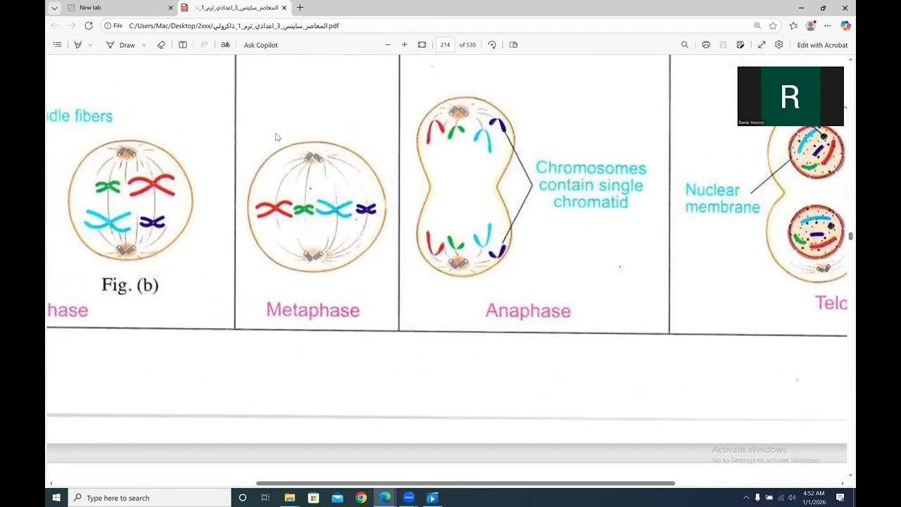 mitotic Division, prep 3 , first term unit 4