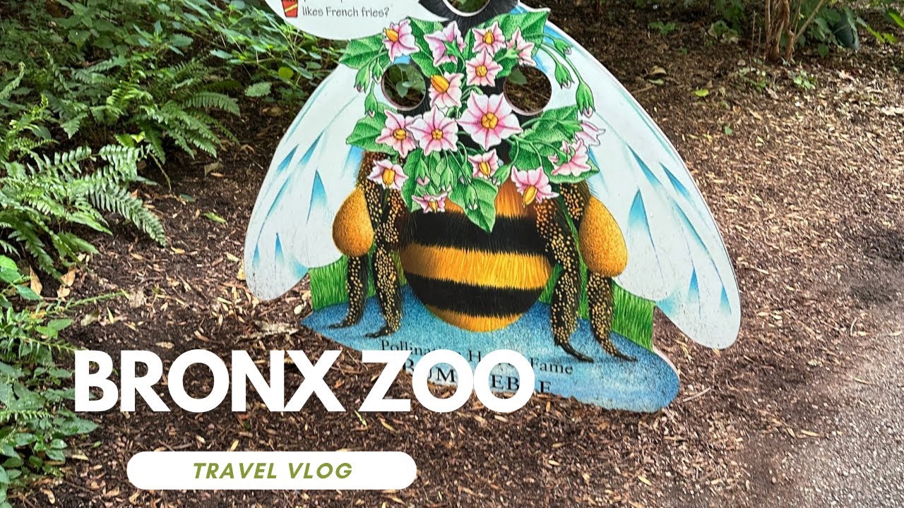Jungle World at Bronx Zoo 2025 #zoo #animals #jungleworld 