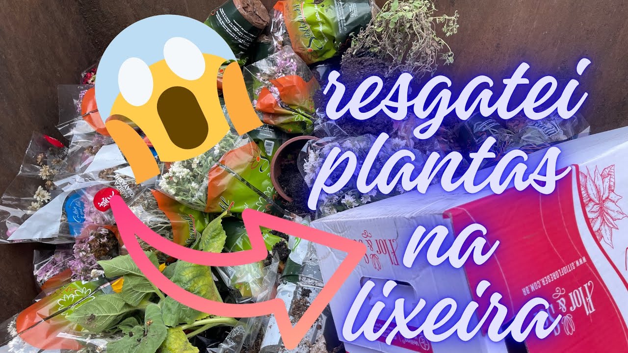 Resgate de plantas na lixeira RJ🌻💚🌺🌵