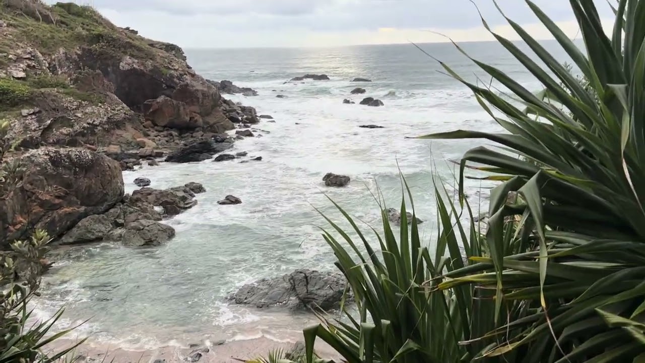 Good morning Port Macquarie 15 March 2026 (A)