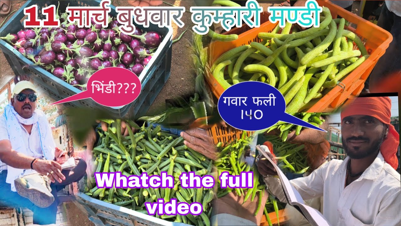 ‼️Kumhari Mandi Rate List Today | Major Price Changes‼️#Kumharimandi #volg #sabji 