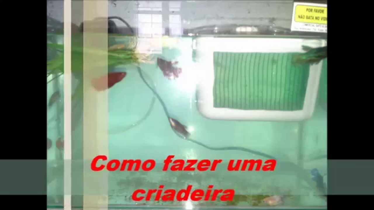 Como fazer uma Criadeira/Maternidade para aquário!!!