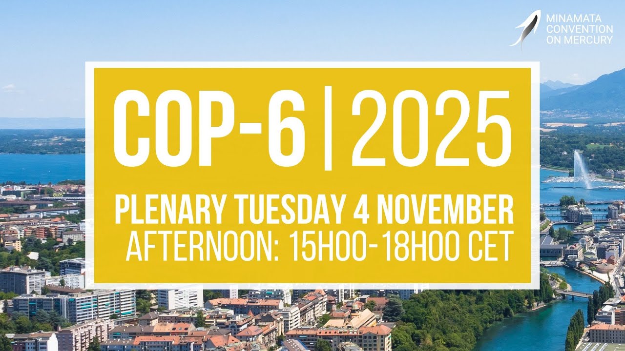 #MinamataCOP6: Afternoon Plenary (4 November 2025)