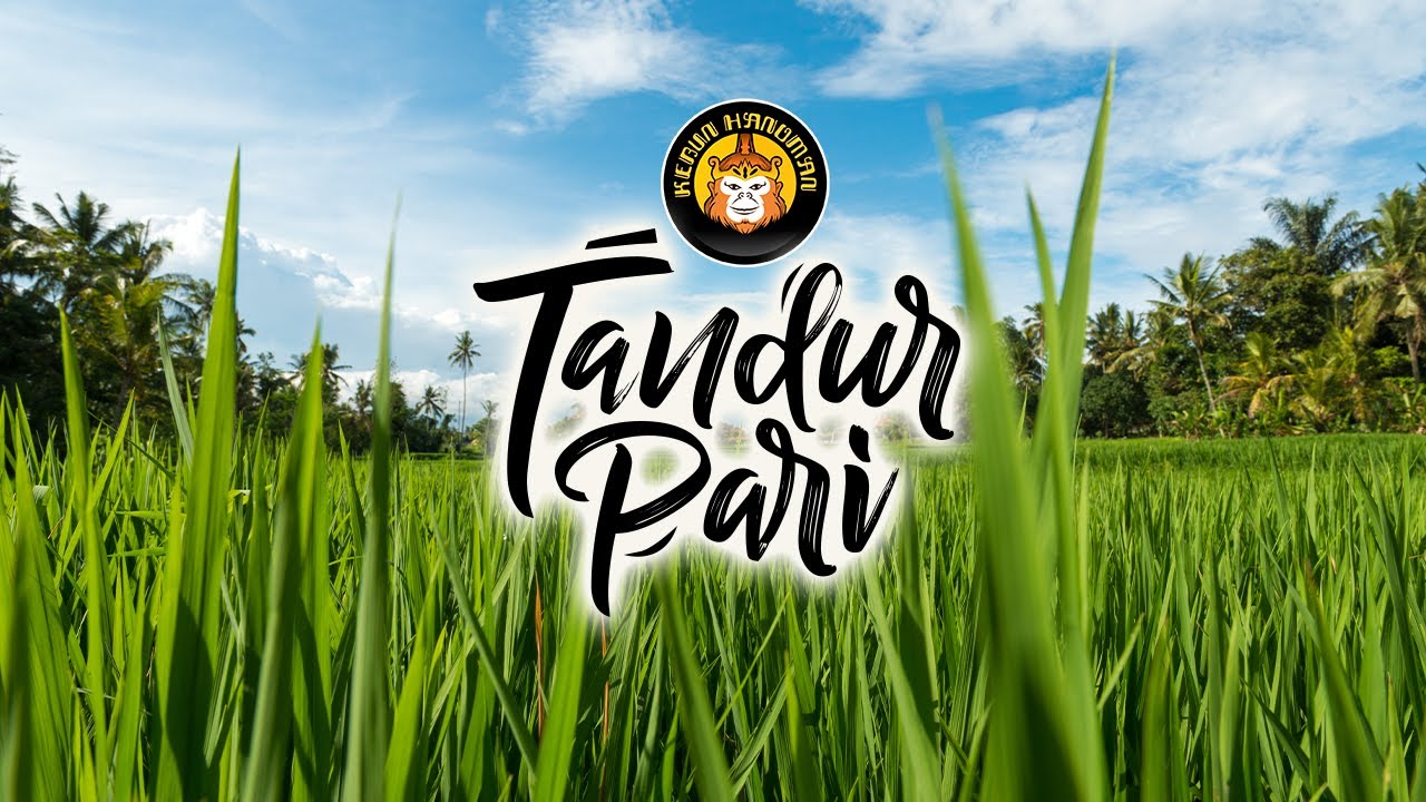 Tandur Pari bersama Bala Hanoman