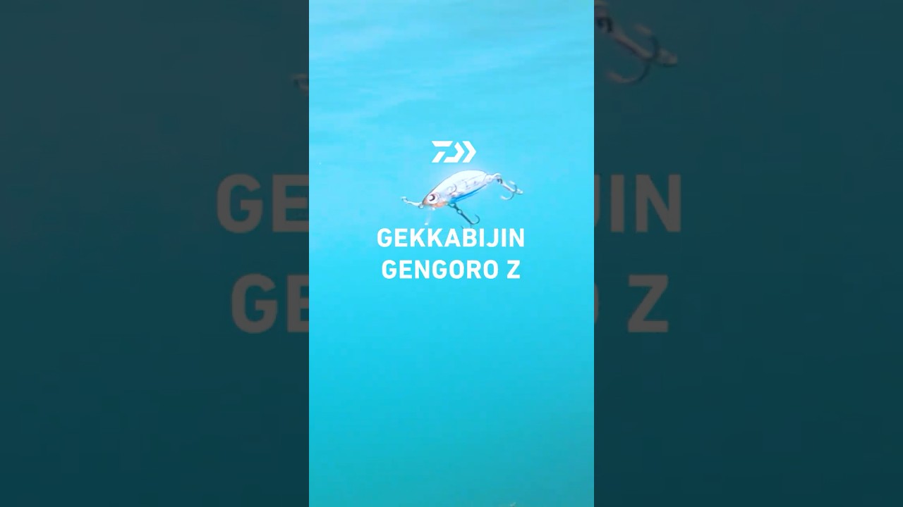 月下美人 源五郎Z｜GEKKABIJIN GENGORO Z　 #ダイワ  #daiwa #月下美人