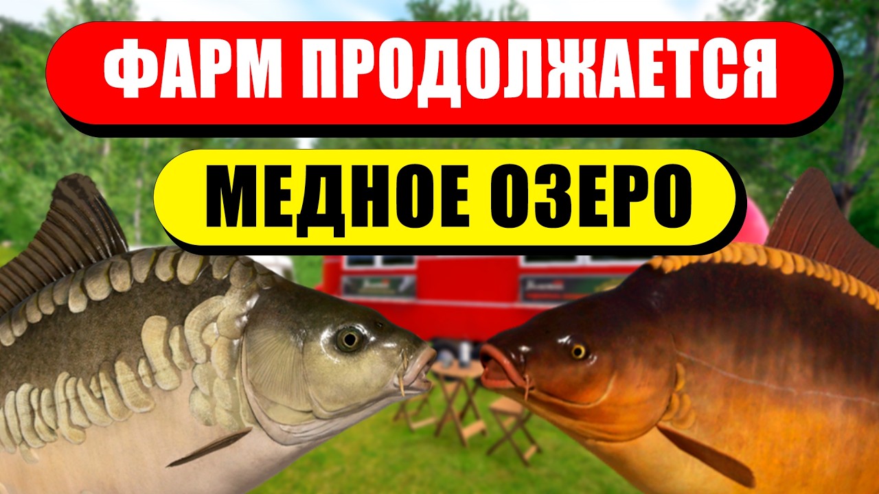 ПРОДОЛЖАЕТСЯ БОМБОВЫЙ ФАРМ НА МЕДНОМ ОЗЕРЕ В НОРМАЛЬНУЮ ТЕМПЕРАТУРУ! • Русская Рыбалка 4 РР4