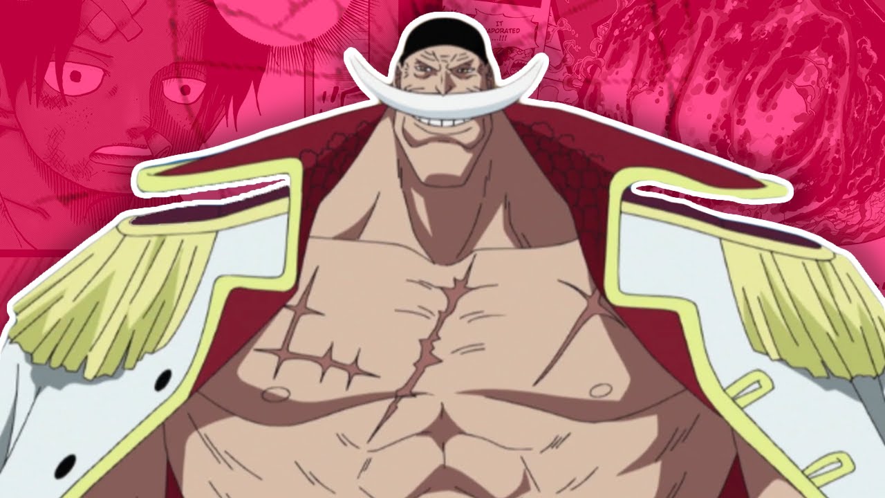 One Piece Review! - MARINEFORD