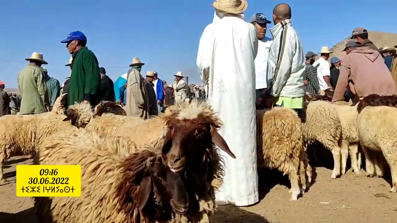 اجواء رحبة الأسواق الأسبوعية سوق مريرت خنيفرة 💓