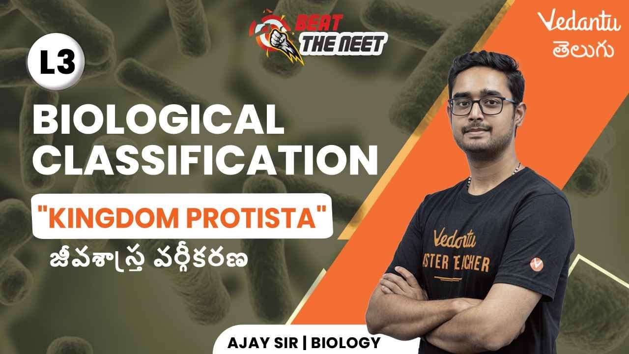 Kingdom Protista | Biological Classification L3 | Class 11 | NEET 2024 | Ajay Sir | Vedantu Telugu