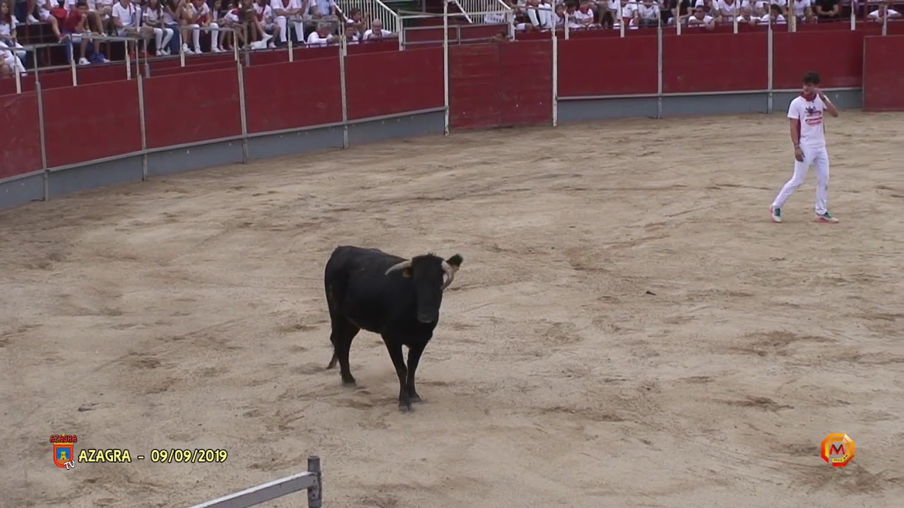 Tv Azagra - 09/09/2019 - Fiestas - Capea