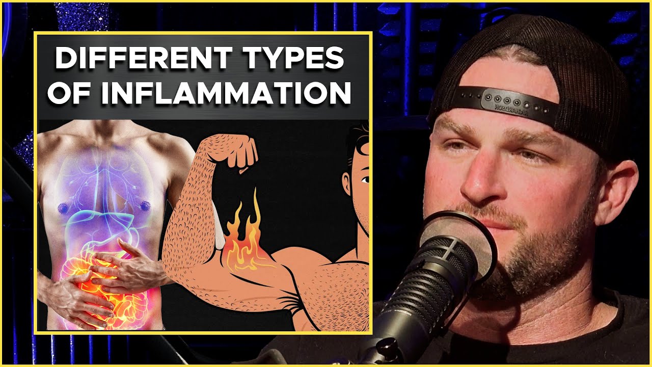 The Difference Between EXERCISE Induced Inflammation and DIET Induced Inflammation