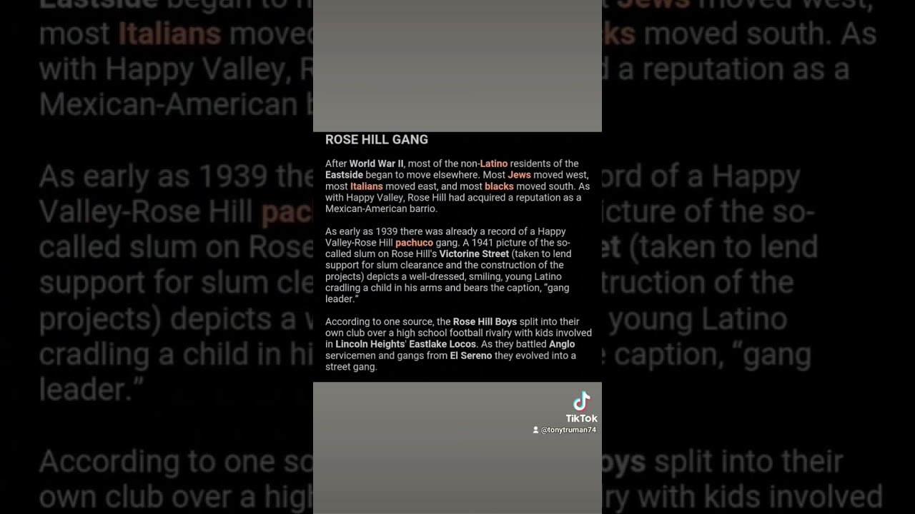 #projectraised #rosehill #pachuco #projects