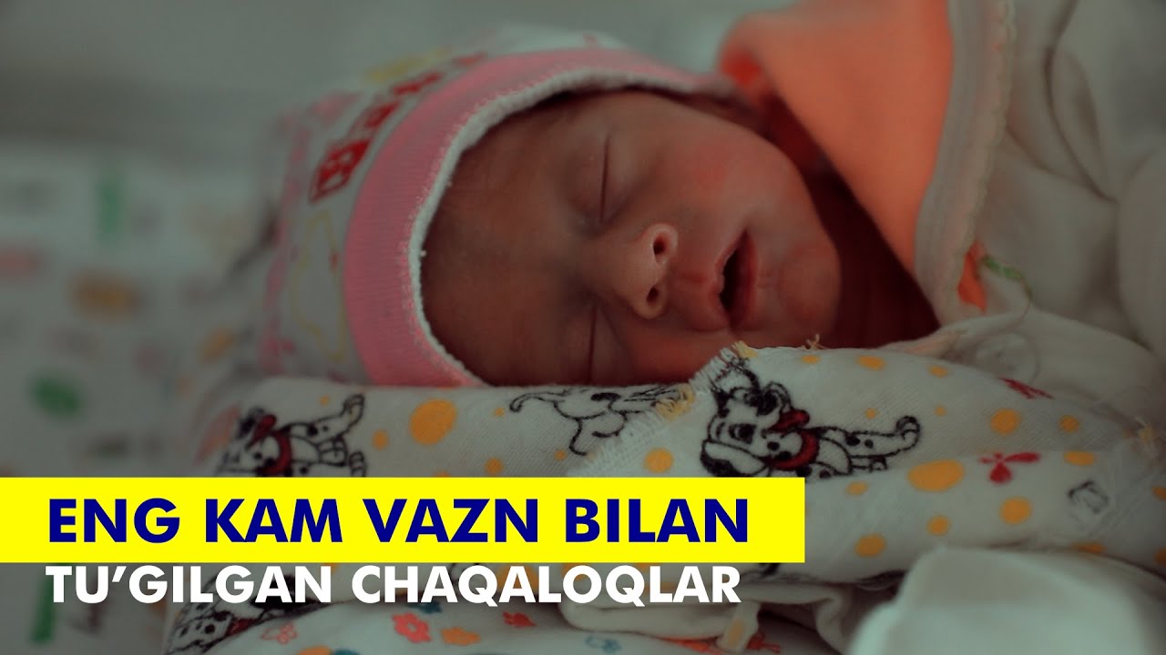 CHAQALOQLAR JONLANTIRISH BO'LIMI