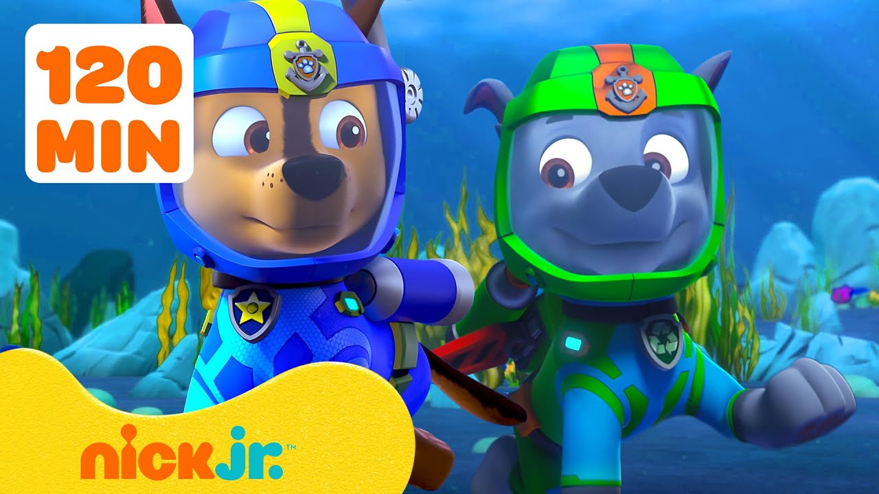 PAW Patrol | Unterwasser-Abenteuer mit Coral! | Nick Jr. Deutschland