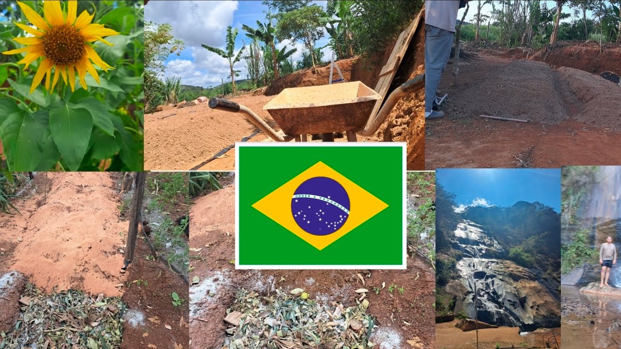  home garden @canalagrovivendo @agroplaybr @eurodinamicagropro3887 @Cultivopasoapaso 
