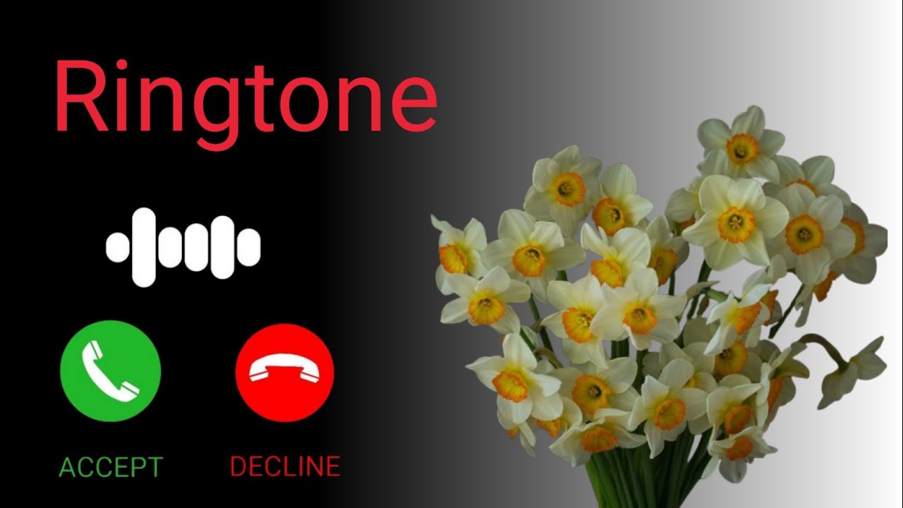 Incoming Call Ringtone | Hindi Song Ringtone | Ringtone Download | Best Ringtone | Trending Ringtone
