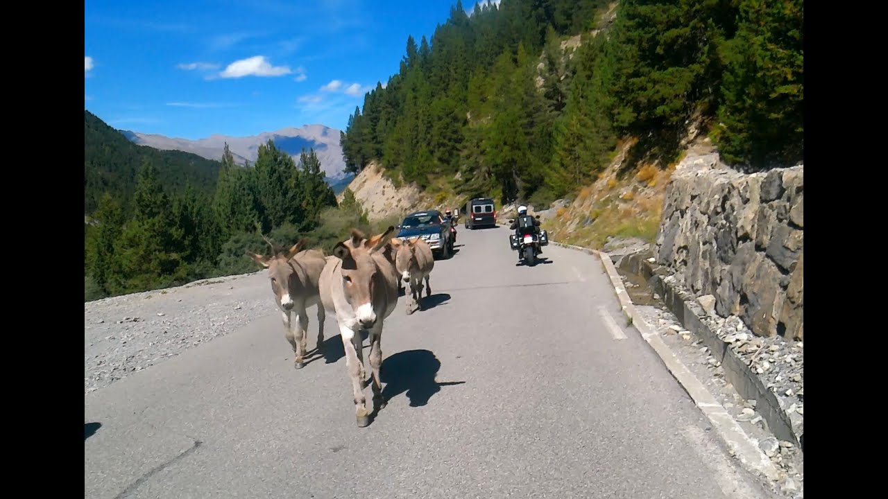 RDGA 2025 17.-22. September