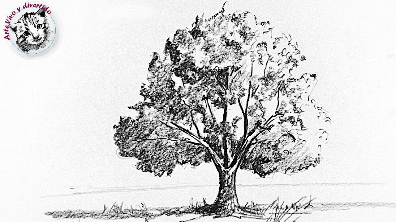 Cómo dibujar desde Cero #8 Cómo Dibujar un Árbol con lápiz