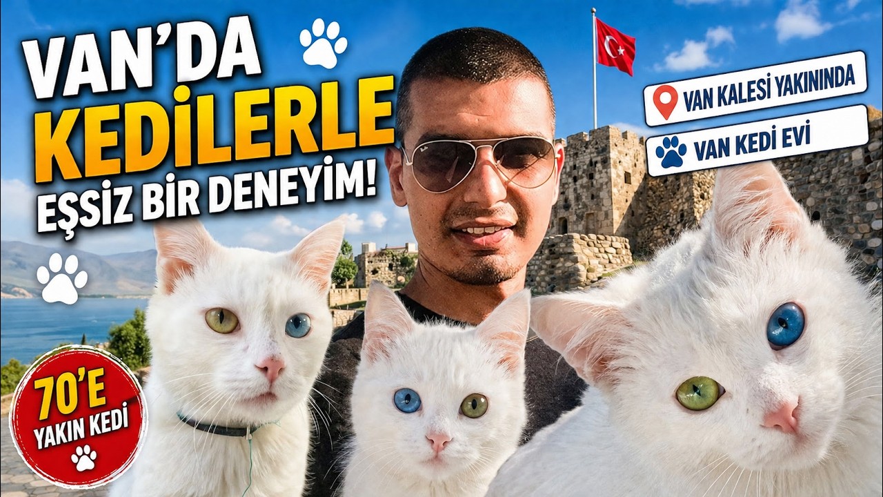 Van Kedi Evi Ziyareti: Van Kedisi Hakkında Detaylar - Haldun Öztürk ile Yol Macerası #15