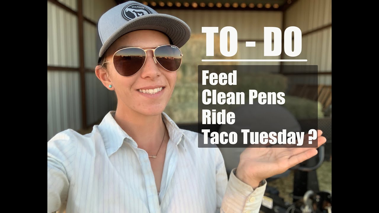 DAY IN THE LIFE OF A HORSE TRAINER