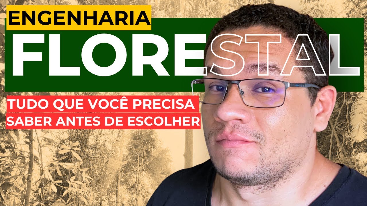 O resumo mais completo sobre a ENGENHARIA FLORESTAL🌳 #engenhariaflorestal #engenheiro
