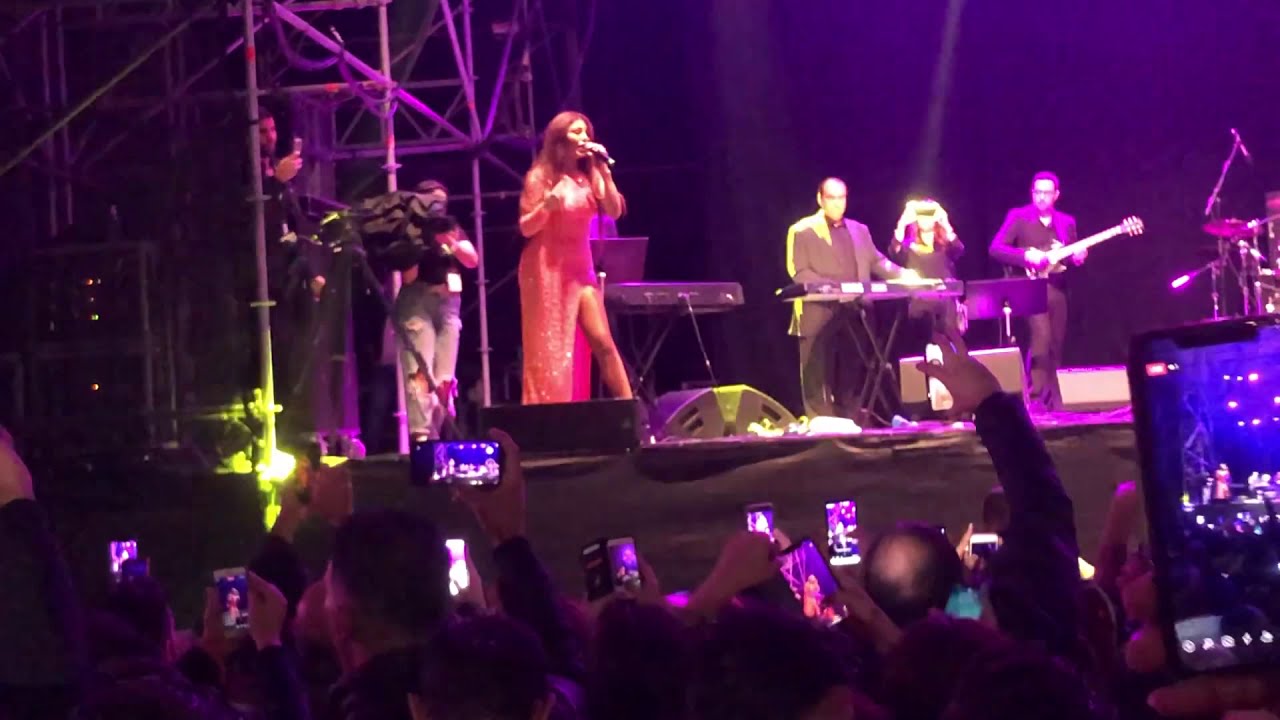 هيفاء وهبي  😍⁦❤️⁩🎶  حفلة كاملة Haifa wehbe  - السويد ٠ live  concert #الحفلة 🎶  -  live_concert#