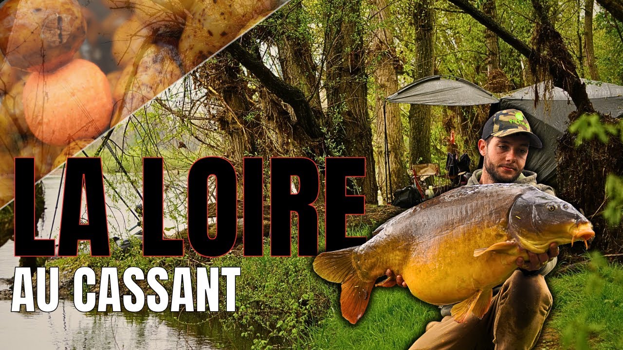 PÊCHE de la CARPE en FLEUVE, miroir en pagaille 🎥🎣