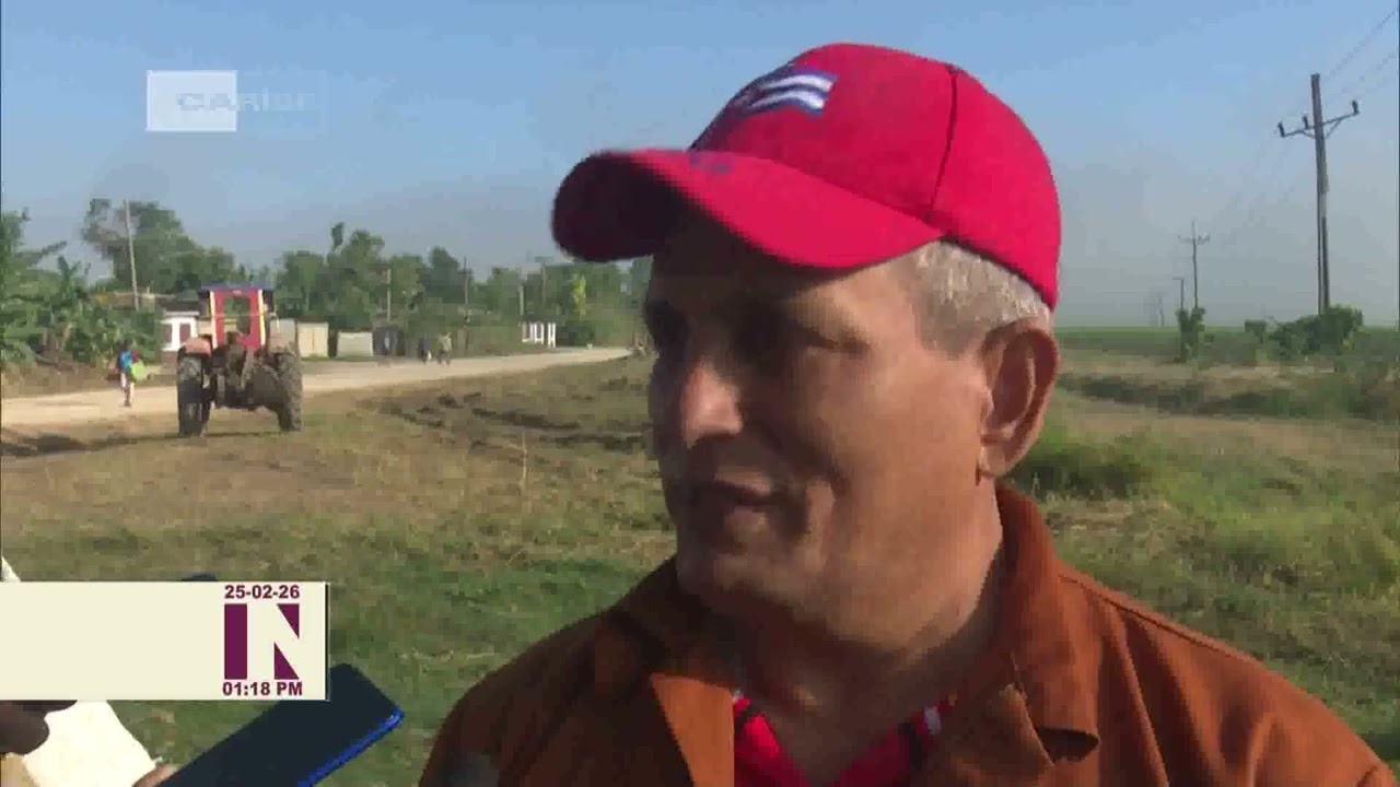 Impulsan cultivo de arroz en Santiago de Cuba