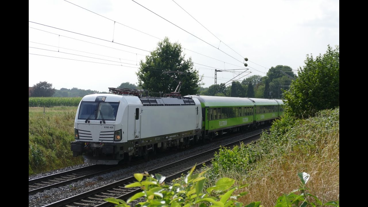 Bahn Sichtungen vom 16 bis 31 Juli 2025 DB Cargo und mehr