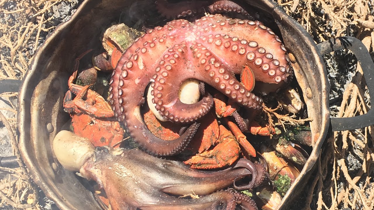 مواجهة البحر الهائج من اجل جمع فواكه البحر وإصطياد الرخويات Sea Food