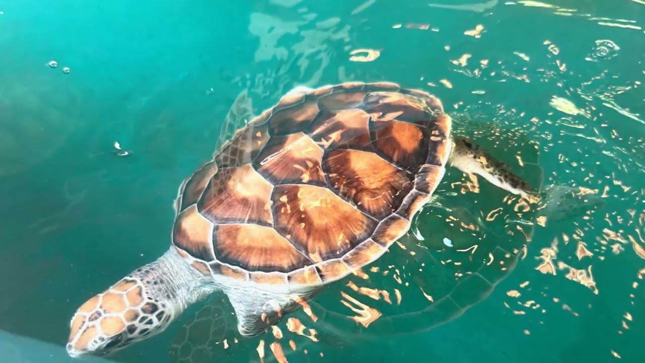 Khao Lak Day Trip