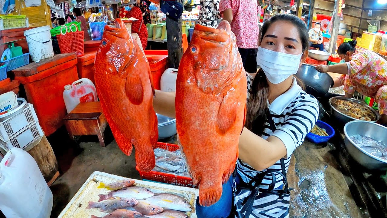 Market Tour - Buy Red Fish From Market For Cooking - Red Fish Steaming Glass Noodle - Yummy Eating