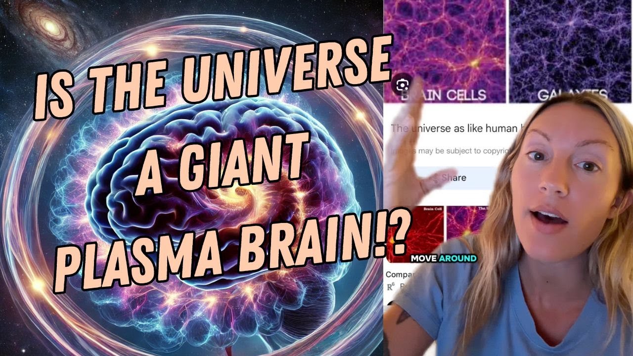 Is the Universe a Living Plasma Brain? The Torus Might Hold the Answer