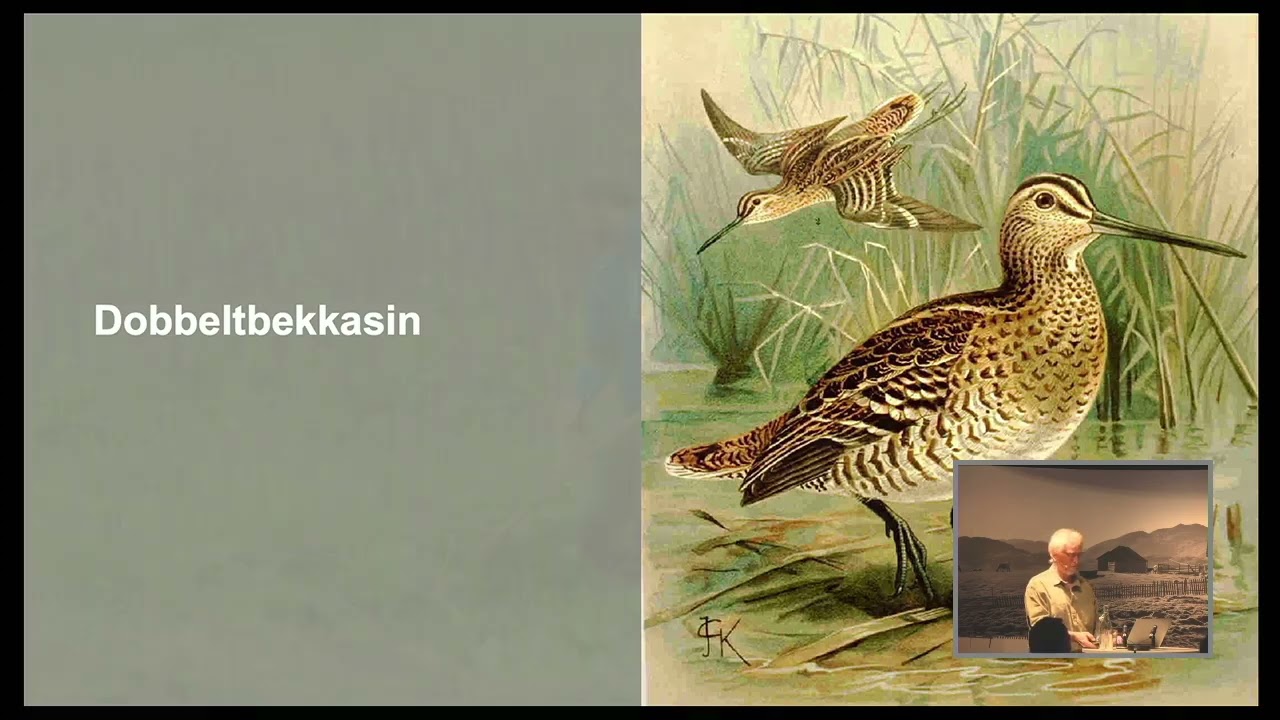Ulf Ullring, nasjonalparkforvaltar i Langsua Nasjonalpark